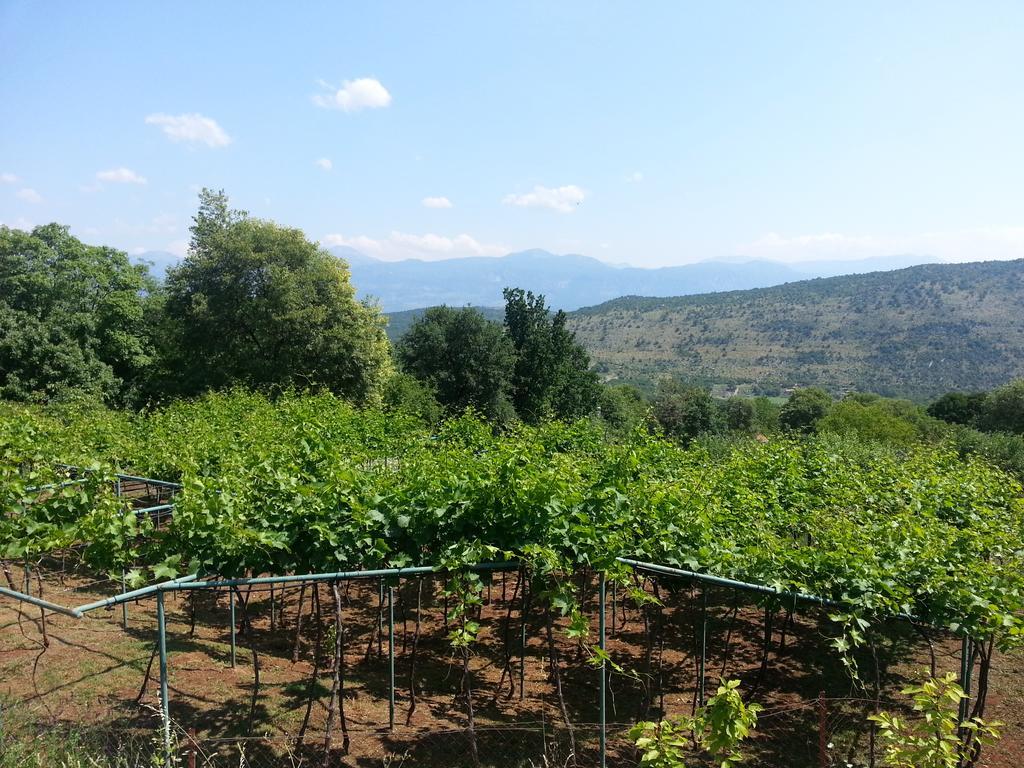 Grandfather'S Secret Danilovgrad Εξωτερικό φωτογραφία